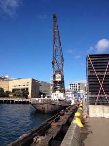 Wellington - Picton-045